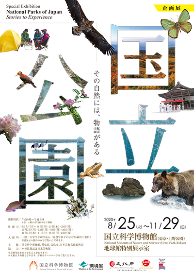 20102501 20102501