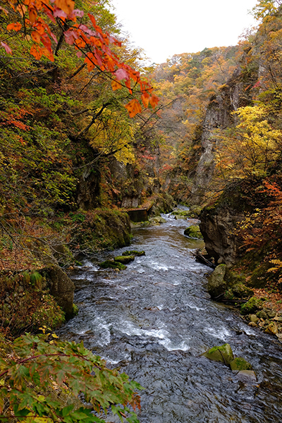 Narukokyo02 Narukokyo02